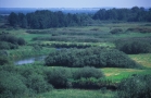 Bagno bagnu nierówne