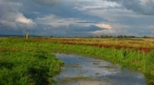 Efekty rzeczowe projektu Bagna są dobre! Ujście Warty